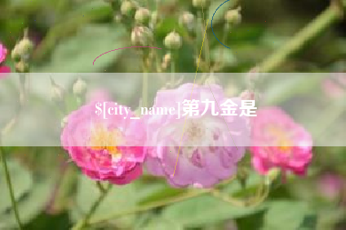 郑州第九金是