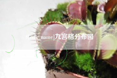 郑州九宫格分布图