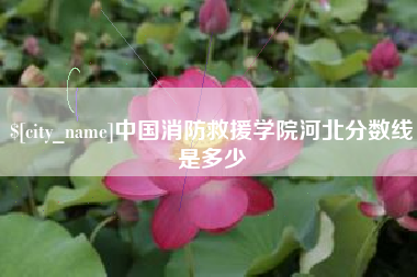 郑州中国消防救援学院河北分数线是多少