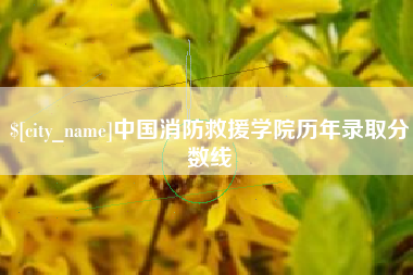 郑州中国消防救援学院历年录取分数线