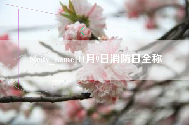 郑州11月9日消防日全称