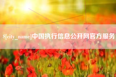 郑州中国执行信息公开网官方服务