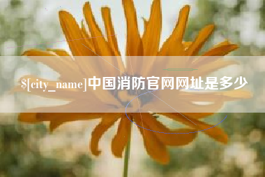 郑州中国消防官网网址是多少