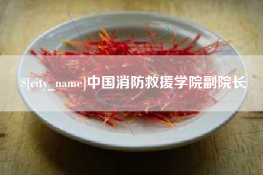 郑州中国消防救援学院副院长