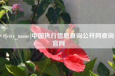 郑州中国执行信息查询公开网查询官网