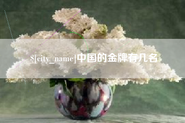 郑州中国的金牌有几名