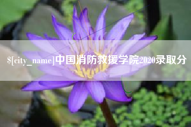 郑州中国消防救援学院2020录取分