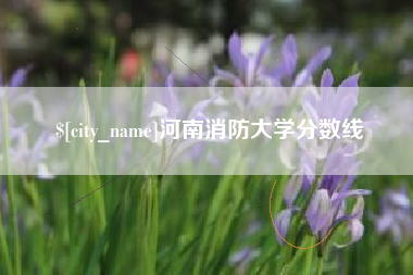 郑州河南消防大学分数线