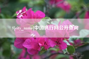 郑州中国执行网公开查询