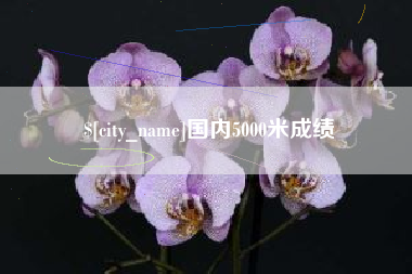 郑州国内5000米成绩