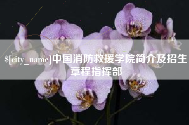 郑州中国消防救援学院简介及招生章程指挥部