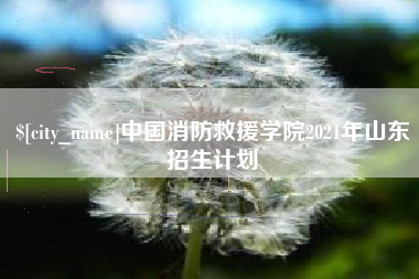 郑州中国消防救援学院2021年山东招生计划