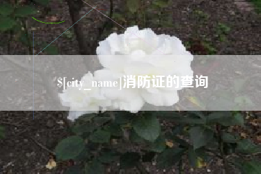 郑州消防证的查询