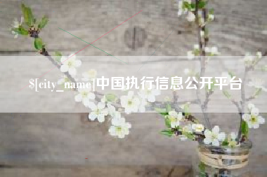 郑州中国执行信息公开平台