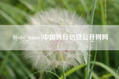 郑州中国执行信息公开网网