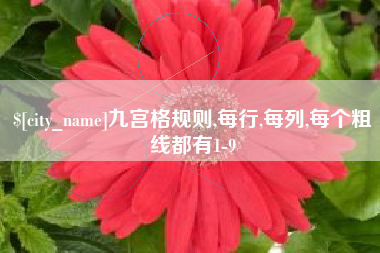 郑州九宫格规则,每行,每列,每个粗线都有1-9
