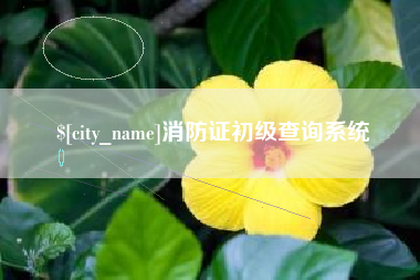 郑州消防证初级查询系统