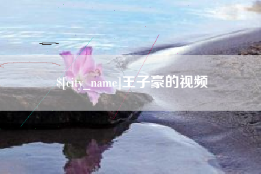 郑州王子豪的视频