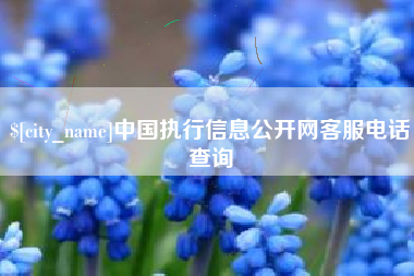 郑州中国执行信息公开网客服电话查询