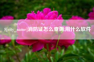 郑州消防证怎么查询,用什么软件