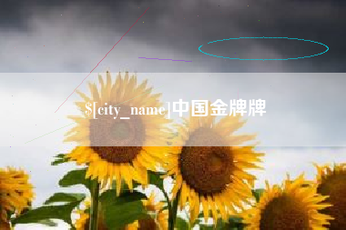 郑州中国金牌牌