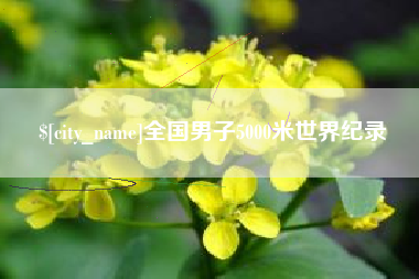 郑州全国男子5000米世界纪录