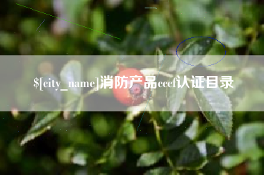 郑州消防产品cccf认证目录