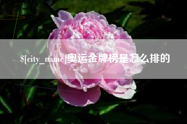 郑州奥运金牌榜是怎么排的