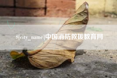郑州中国消防救援教育网