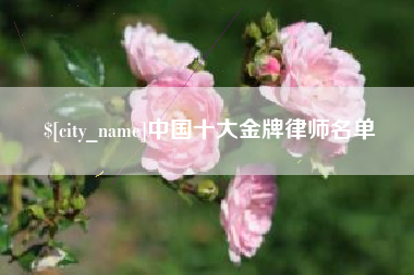 郑州中国十大金牌律师名单