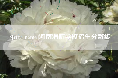 郑州河南消防学校招生分数线