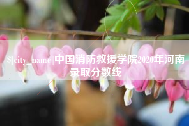 郑州中国消防救援学院2020年河南录取分数线