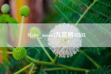 郑州九宫格42633