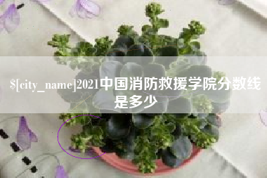 郑州2021中国消防救援学院分数线是多少