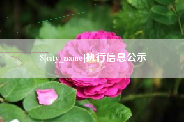 郑州执行信息公示