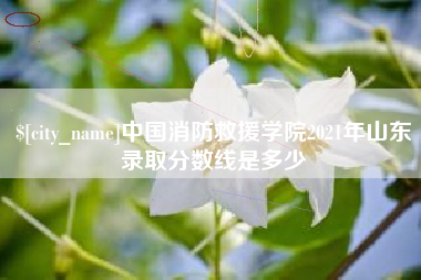 郑州中国消防救援学院2021年山东录取分数线是多少