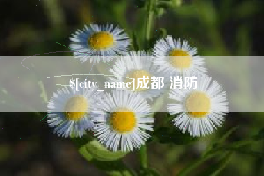 郑州成都 消防