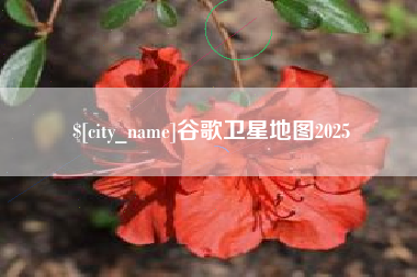 郑州谷歌卫星地图2025