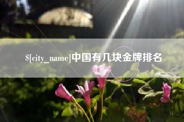 郑州中国有几块金牌排名