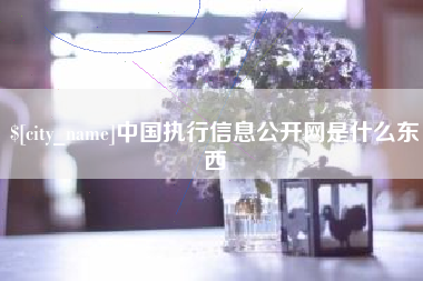 郑州中国执行信息公开网是什么东西
