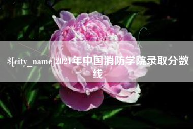 郑州2021年中国消防学院录取分数线