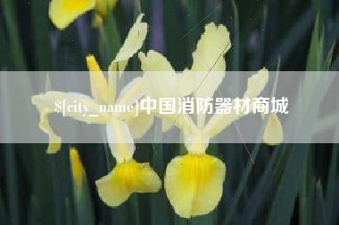 郑州中国消防器材商城