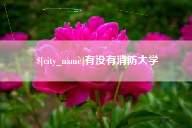 郑州有没有消防大学