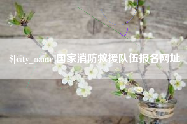 郑州国家消防救援队伍报名网址