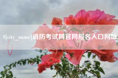 郑州消防考试网官网报名入口网址