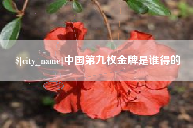 郑州中国第九枚金牌是谁得的