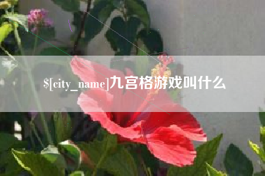 郑州九宫格游戏叫什么
