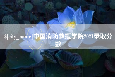 郑州中国消防救援学院2021录取分数