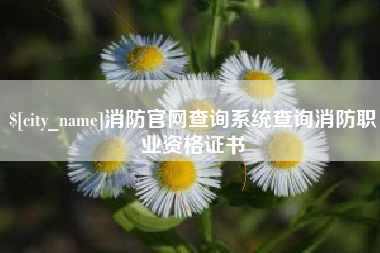 郑州消防官网查询系统查询消防职业资格证书
