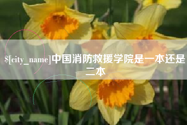 郑州中国消防救援学院是一本还是二本